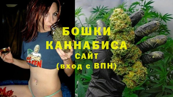 Альфа ПВП Верхний Тагил